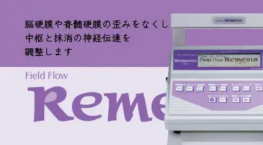 フィールドフロー・レメシス